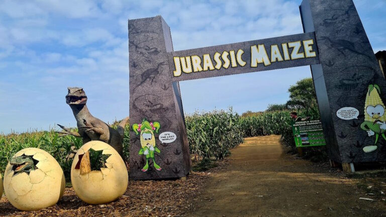 York Maze - Jurassic Maize York Maze - Jurassic Maize