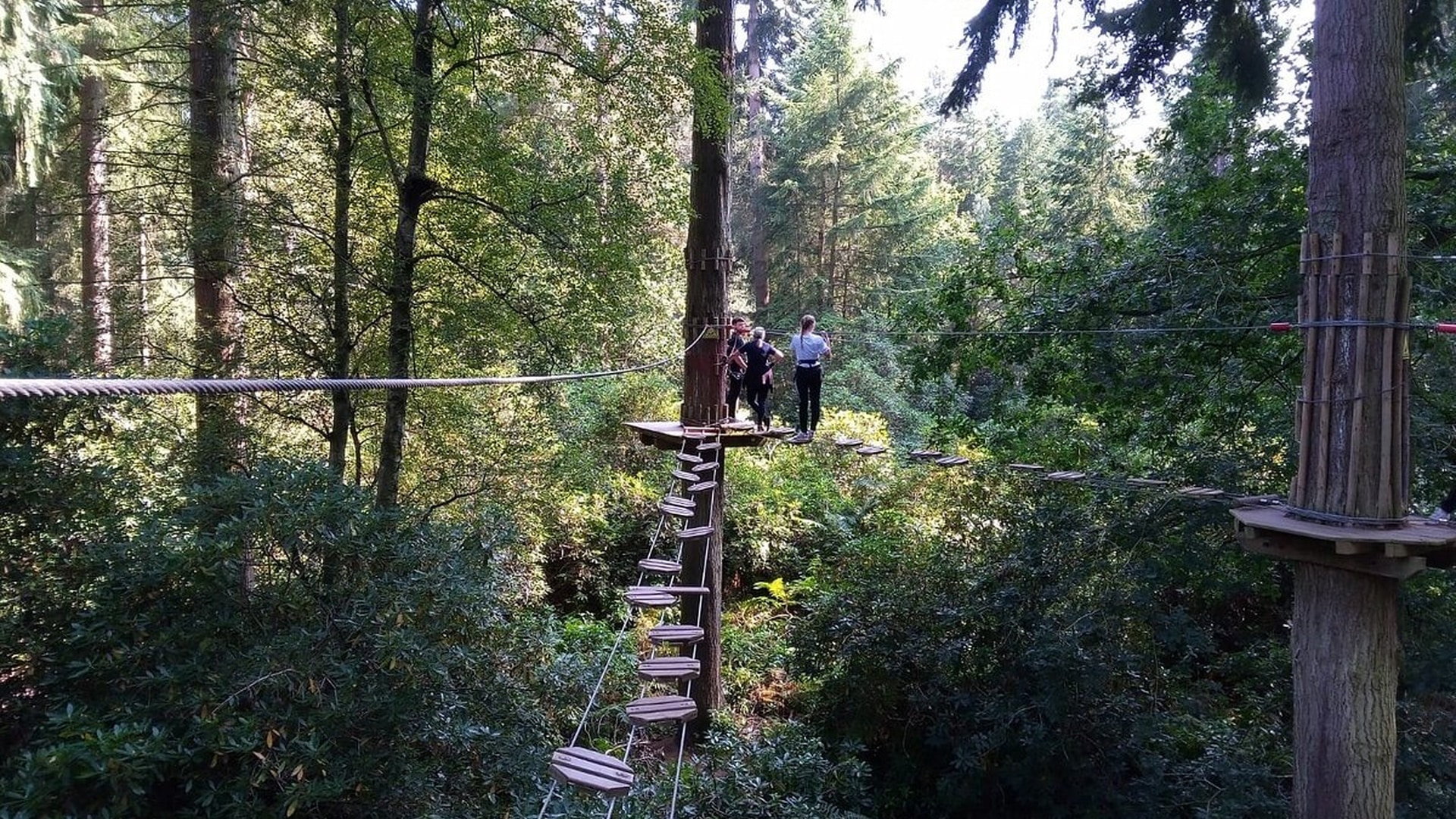 Go Ape Thetford Forest - Stunning Forest Views