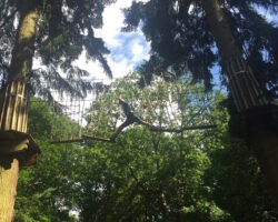 Go Ape Thetford Forest Go Ape Thetford Forest