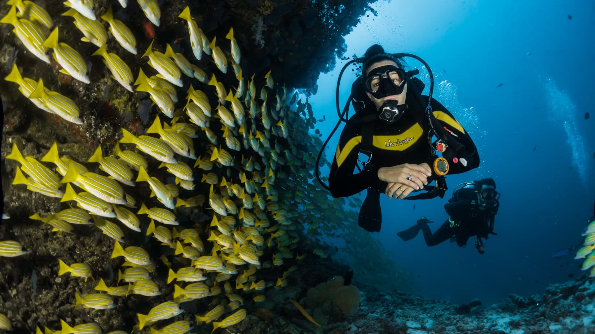 Whangārei Travel Tips - Scuba Diving
