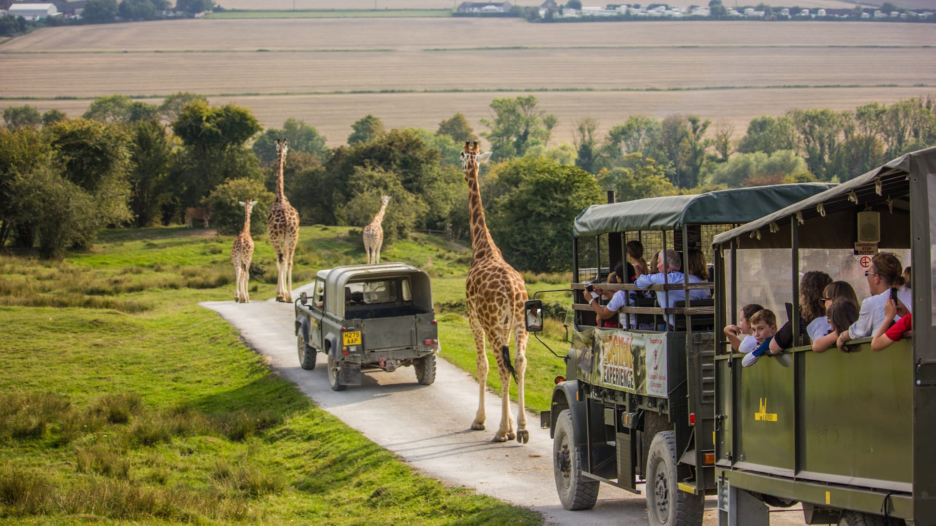 Port Lympne African Safari Experience