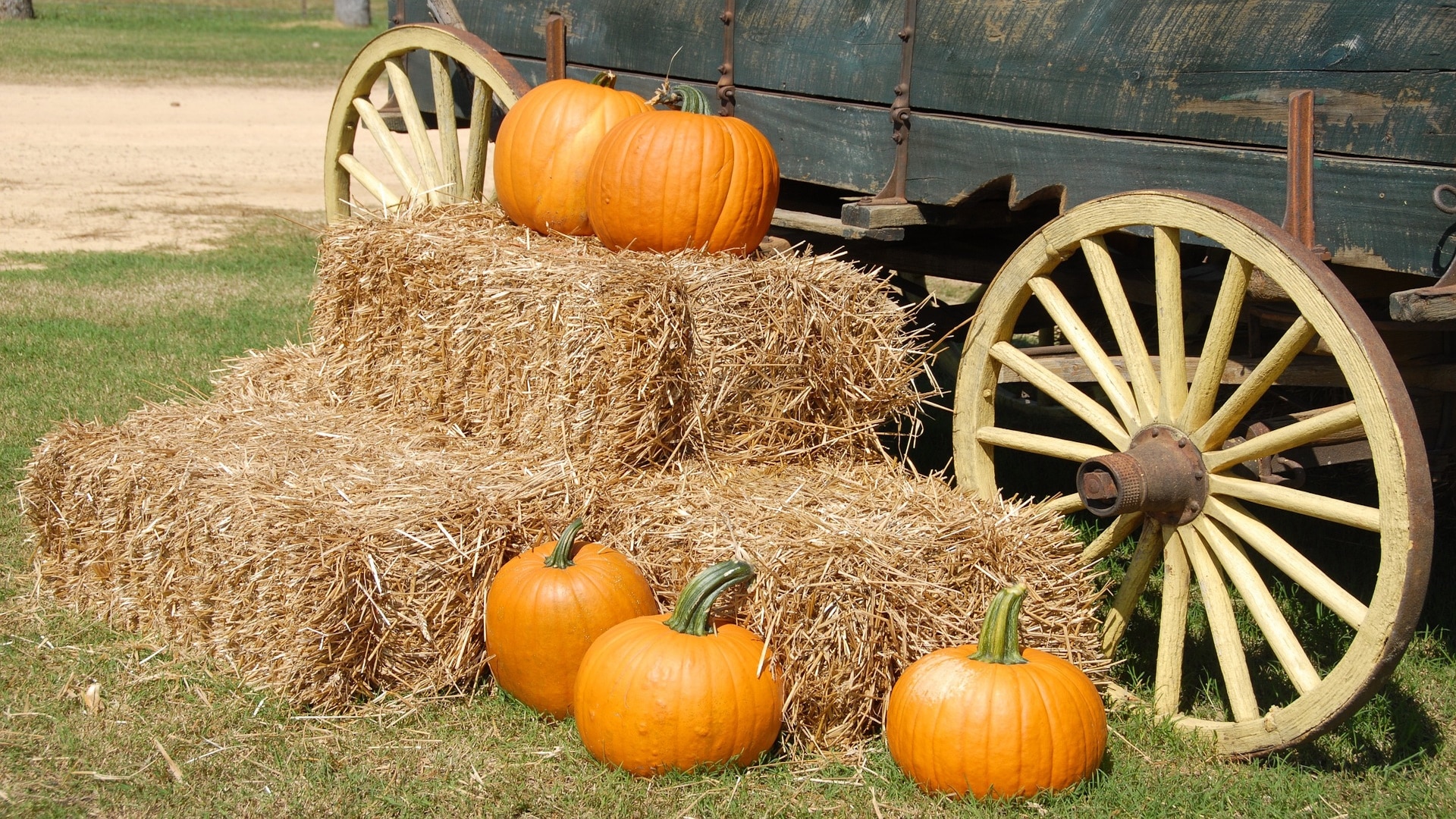 Halloween Wagon