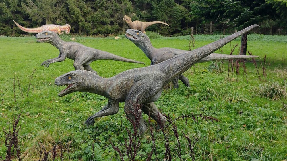 Hoo Zoo & Dinosaur World Attractions Near Me