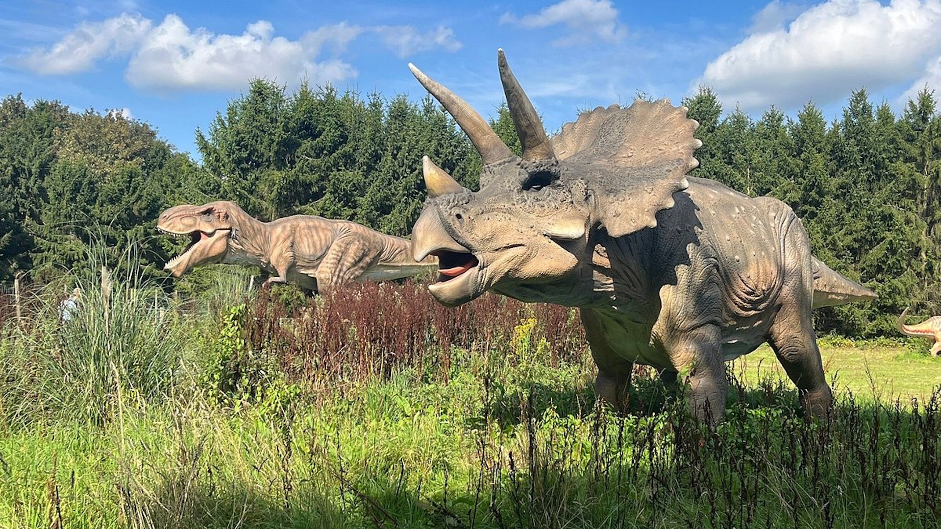 Hoo Zoo & Dinosaur World - Replica Dinosaurs