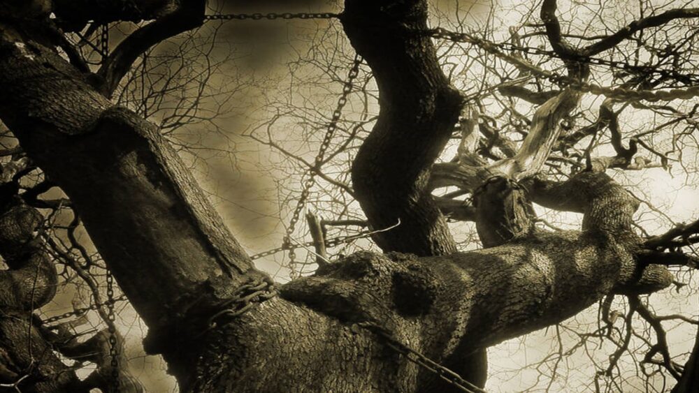 The Chained Oak