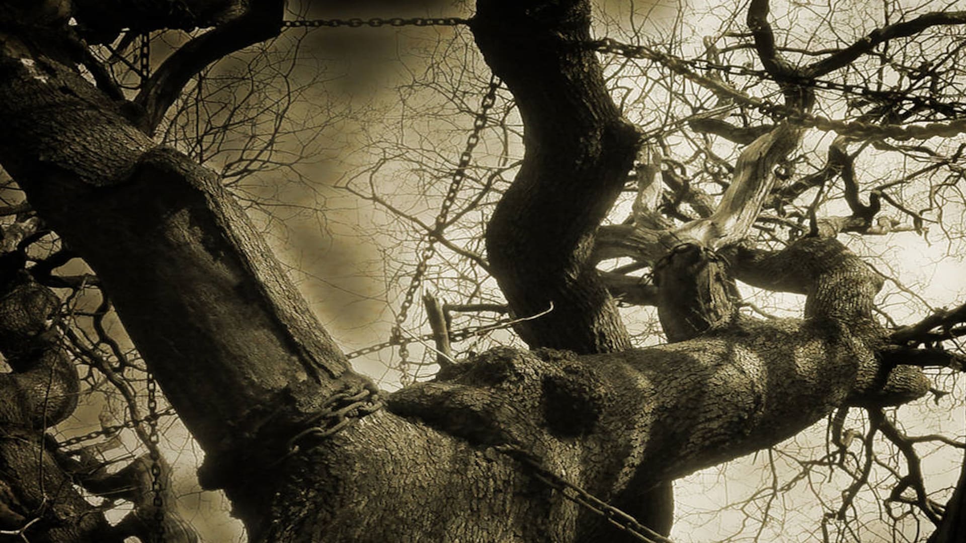 The Chained Oak