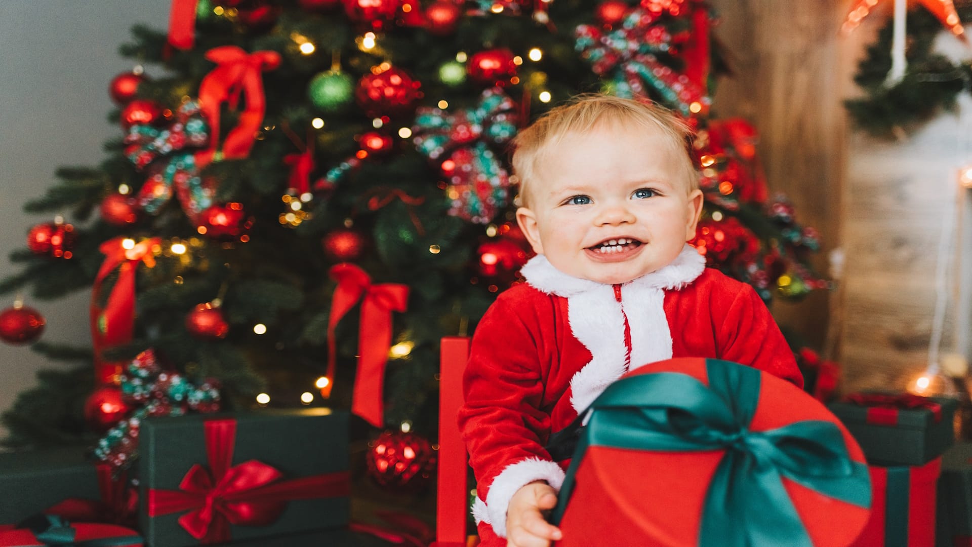Thornton Hall Farm Park - Christmas Gifts