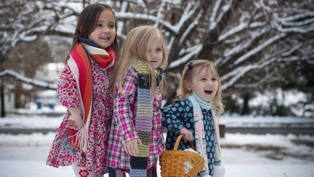 Thornton Hall Farm Park - Mini Christmas Adventure