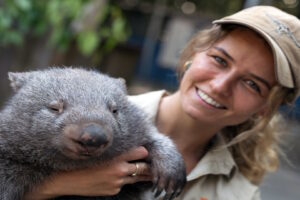 Australian Wildlife in UK Zoos - Wombat