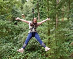 Go Ape Sherwood Pines Go Ape - Zip Wire