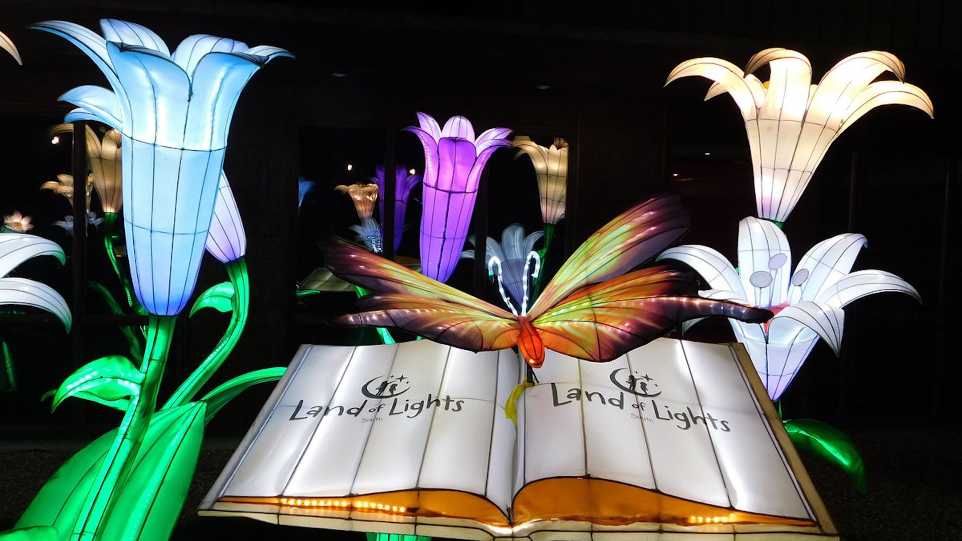 Big Savings on Land of Lights Lantern Festival Entry Attractions
