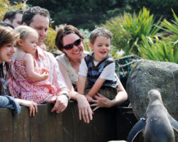 SEA LIFE VIP Experiences: Behind the Scenes Tours & Animal Feeds SEA LIFE - VIP Experiences