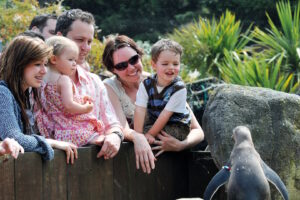SEA LIFE - VIP Experiences