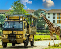 Discount Stays at Theme Park Resort Hotels with Booking.com Chessington World of Adventures Resort Hotel