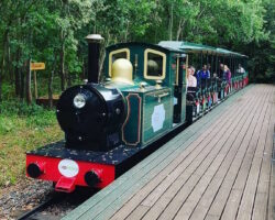 Big Savings on Conkers Family Tickets Conkers - Miniature Railway