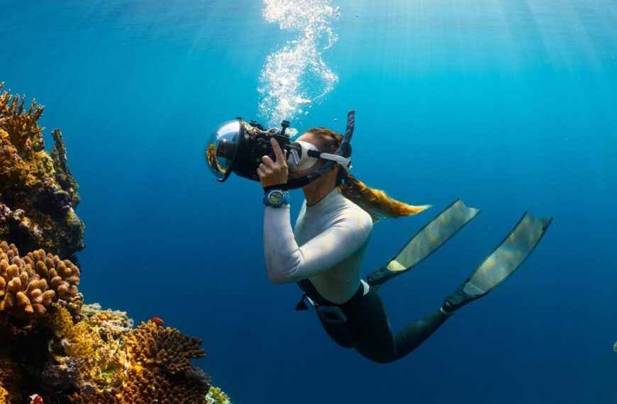 Top 10 Adventure Sports in Dubai - Thrills in the Desert City - Scuba Diving in the Arabian Gulf