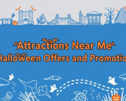 Halloween Offers Attractions Near Me Halloween Offers Banner