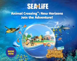 Experience Animal Crossing at SEA LIFE