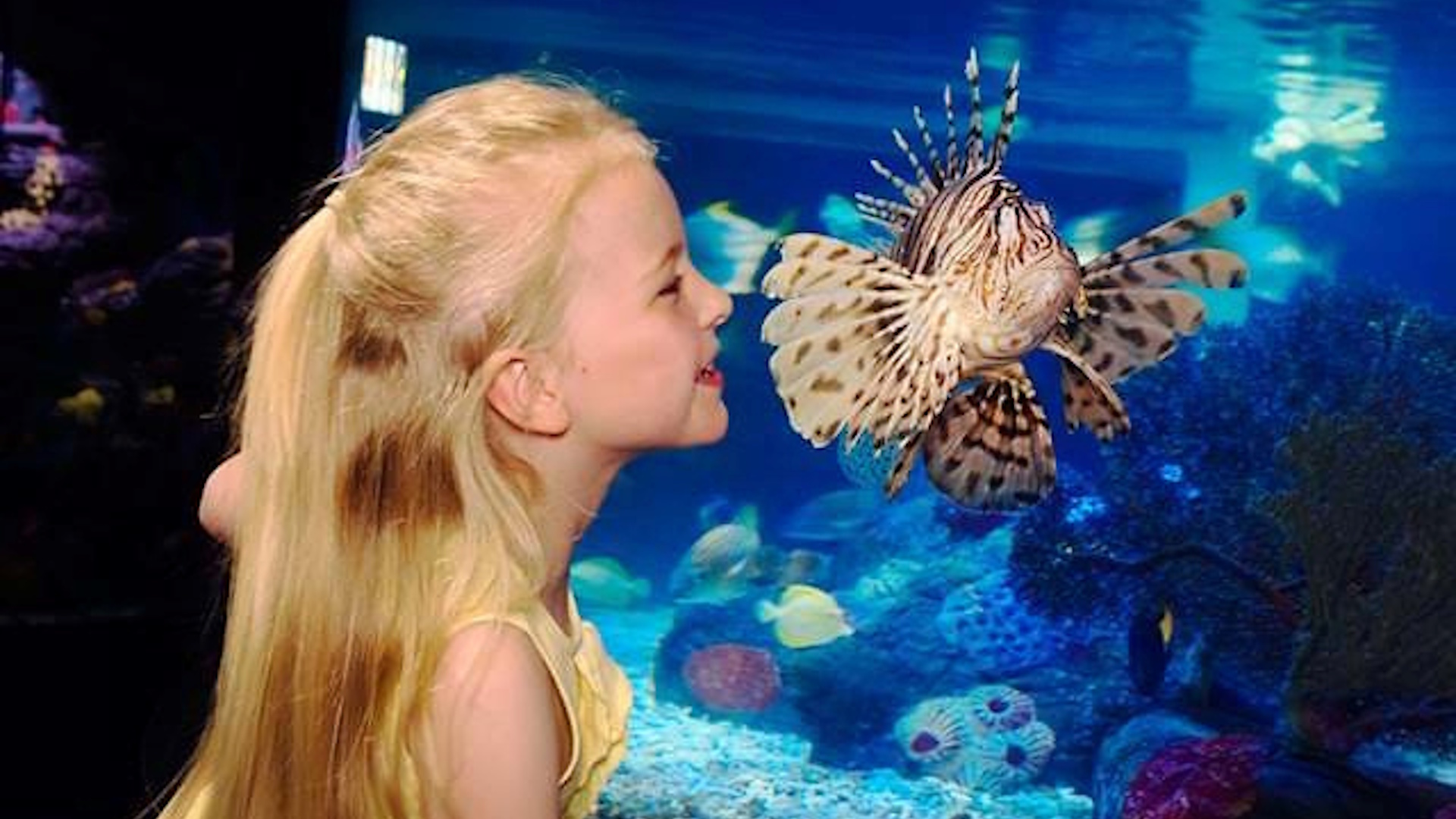 SEALIFE Manchester - Girl With Lion Fish