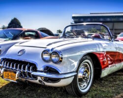 Car Show