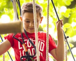 Go Ape Southampton Go Ape Southampton