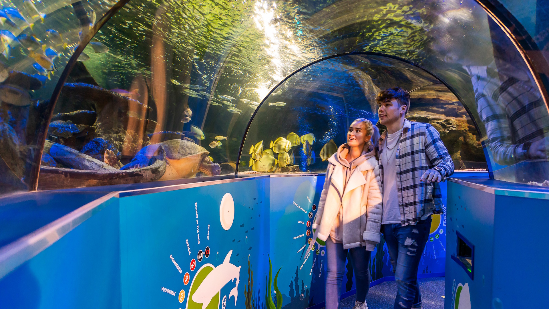 SEA LIFE - Ocean Tunnel