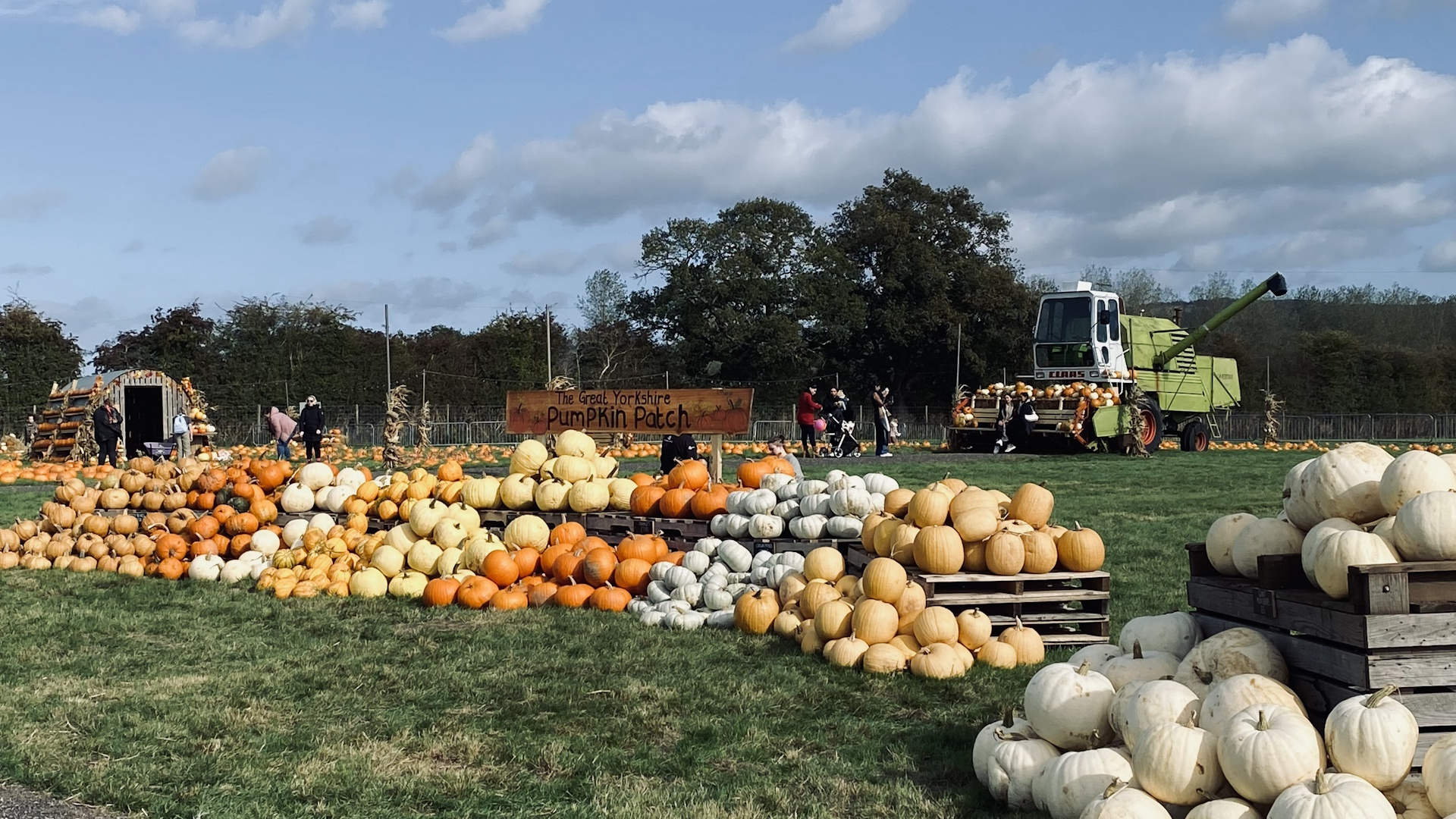 The Great Yorkshire Pumpkin Patch - Monk Park Farm