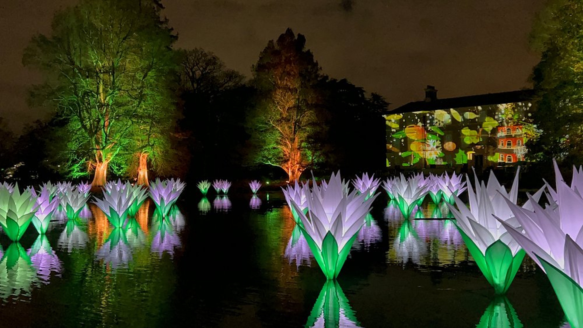 Christmas at Kew - Lights Reflecting on the Lake