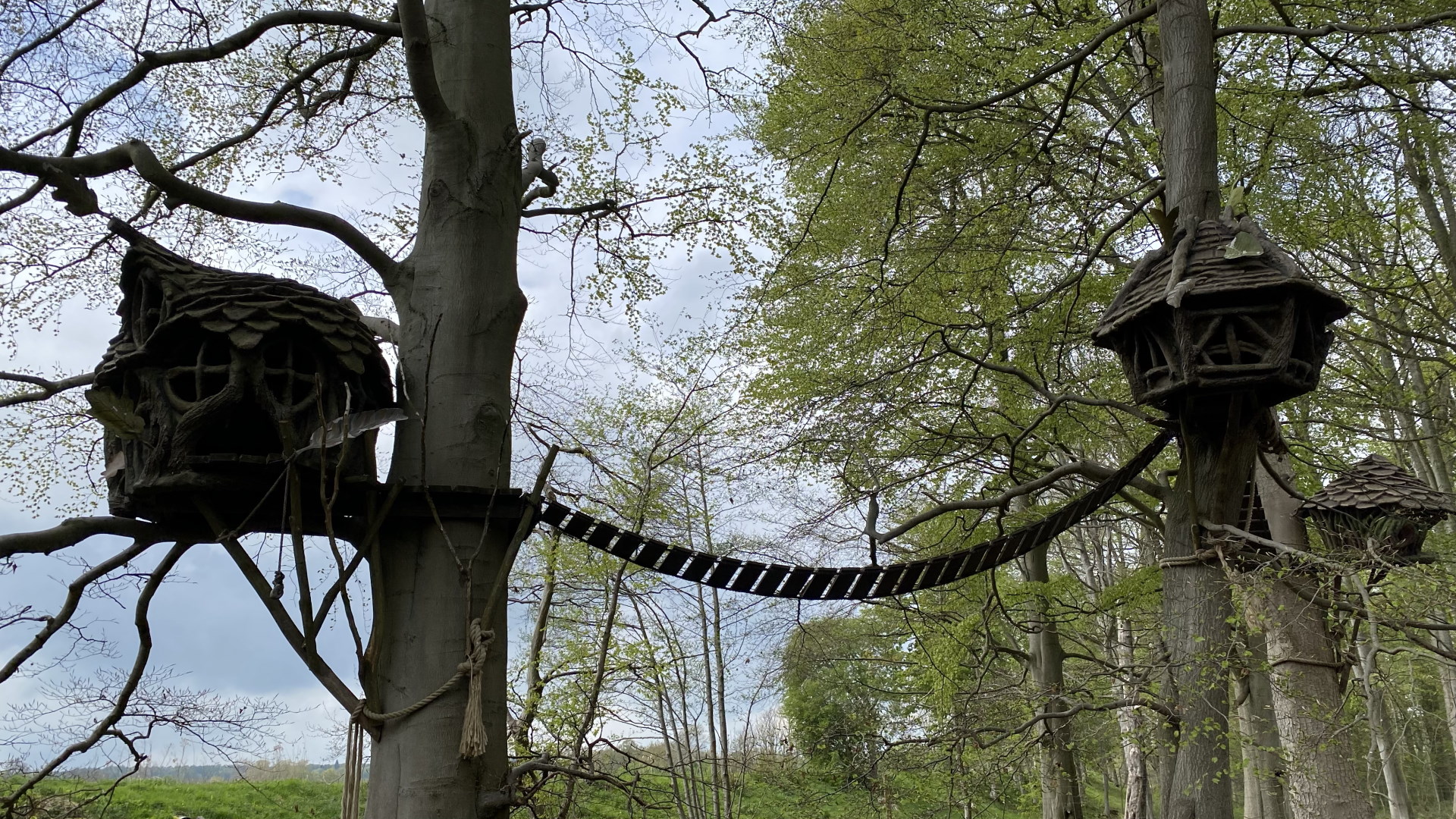 Castle Howard - Skelves Treetop Houses