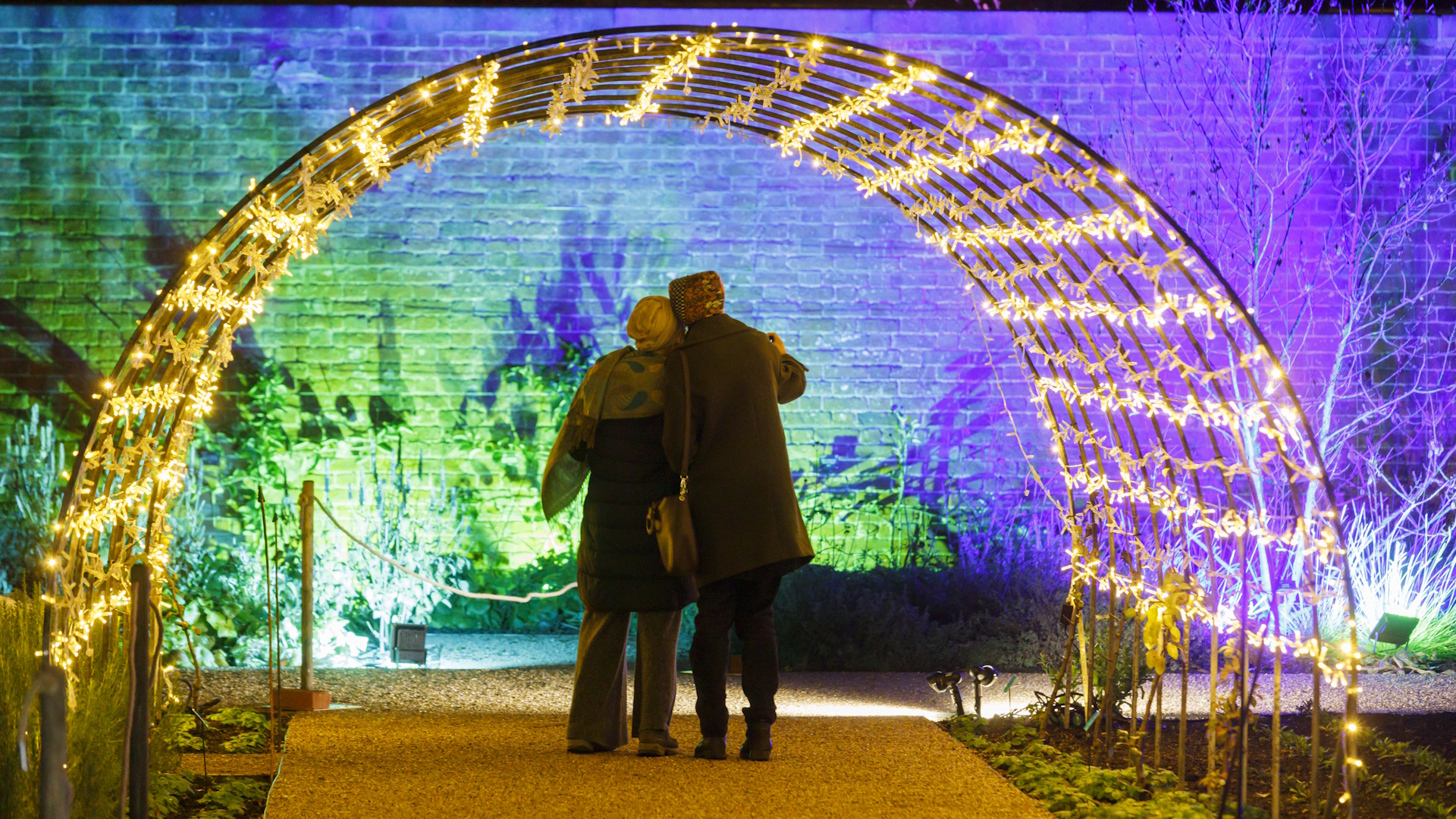 RHS Garden Bridgewater - Glow Illuminations