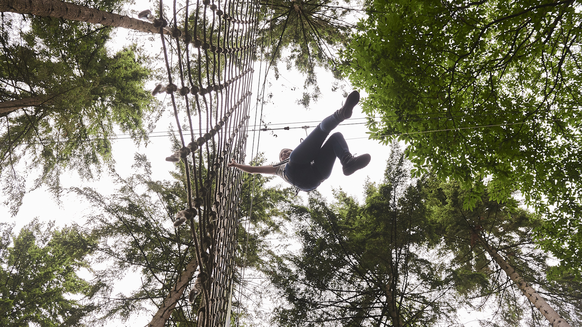 Go Ape Cockfosters - Climbing Net