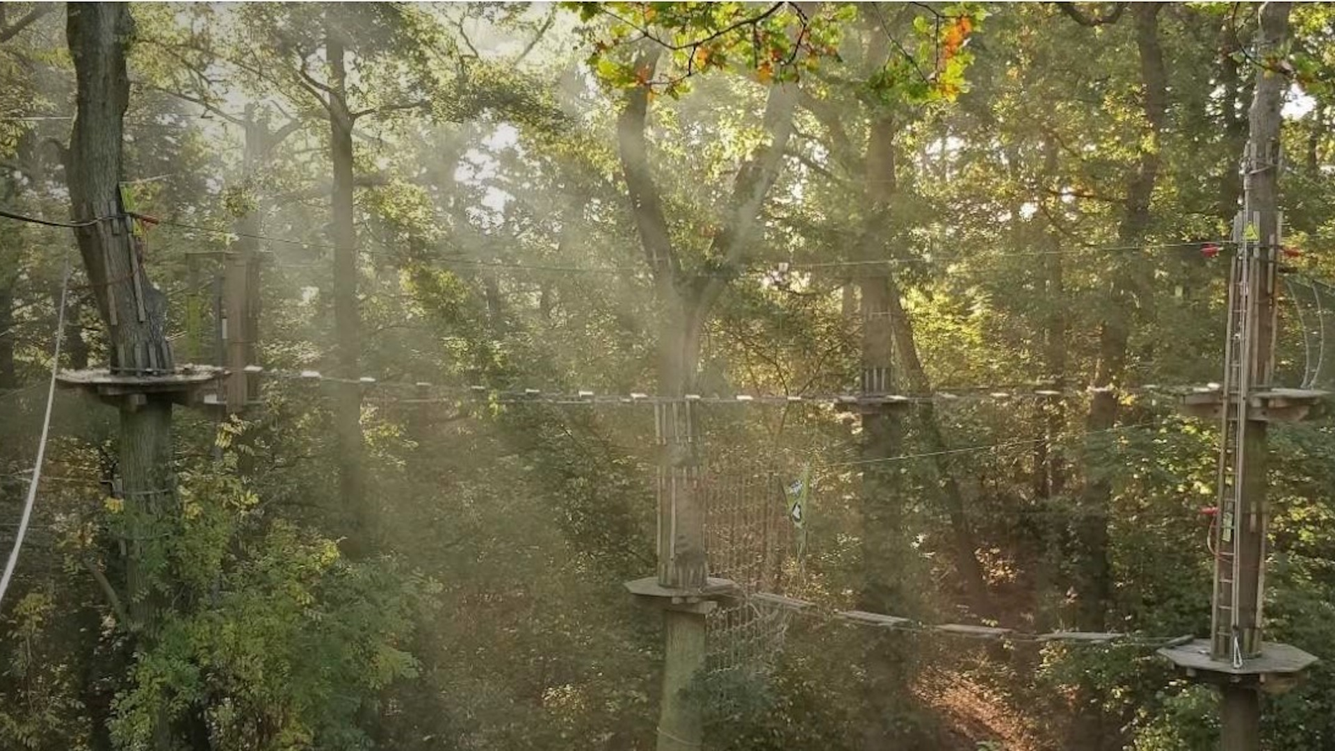 Go Ape Cockfosters - Treetop Obstacles