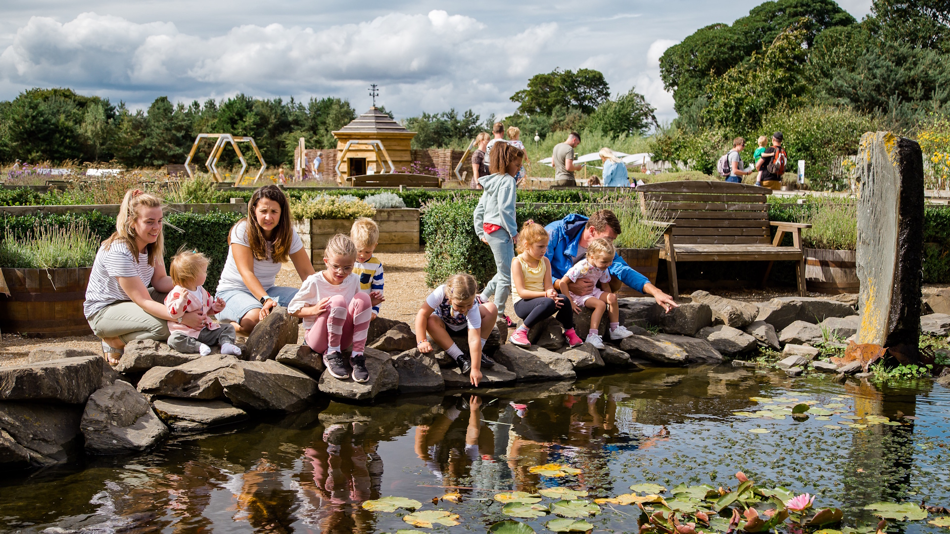 Woldies - Large pond with family watching Koi Carp
