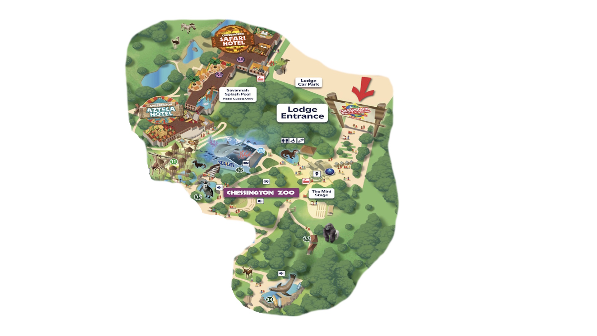 Chessington Map 2026 - Zoo, On-site Hotels and SEA LIFE Aquarium