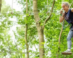 Go Ape Margam Country Park Go Ape Margam Country Park