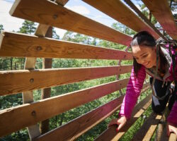 Go Ape Haldon Forest Go Ape Haldon Forest