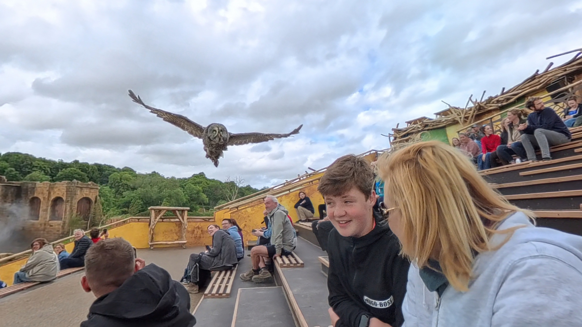 Kynren - The Storied Lands Owls Flying Overhead at The Lost Feather
