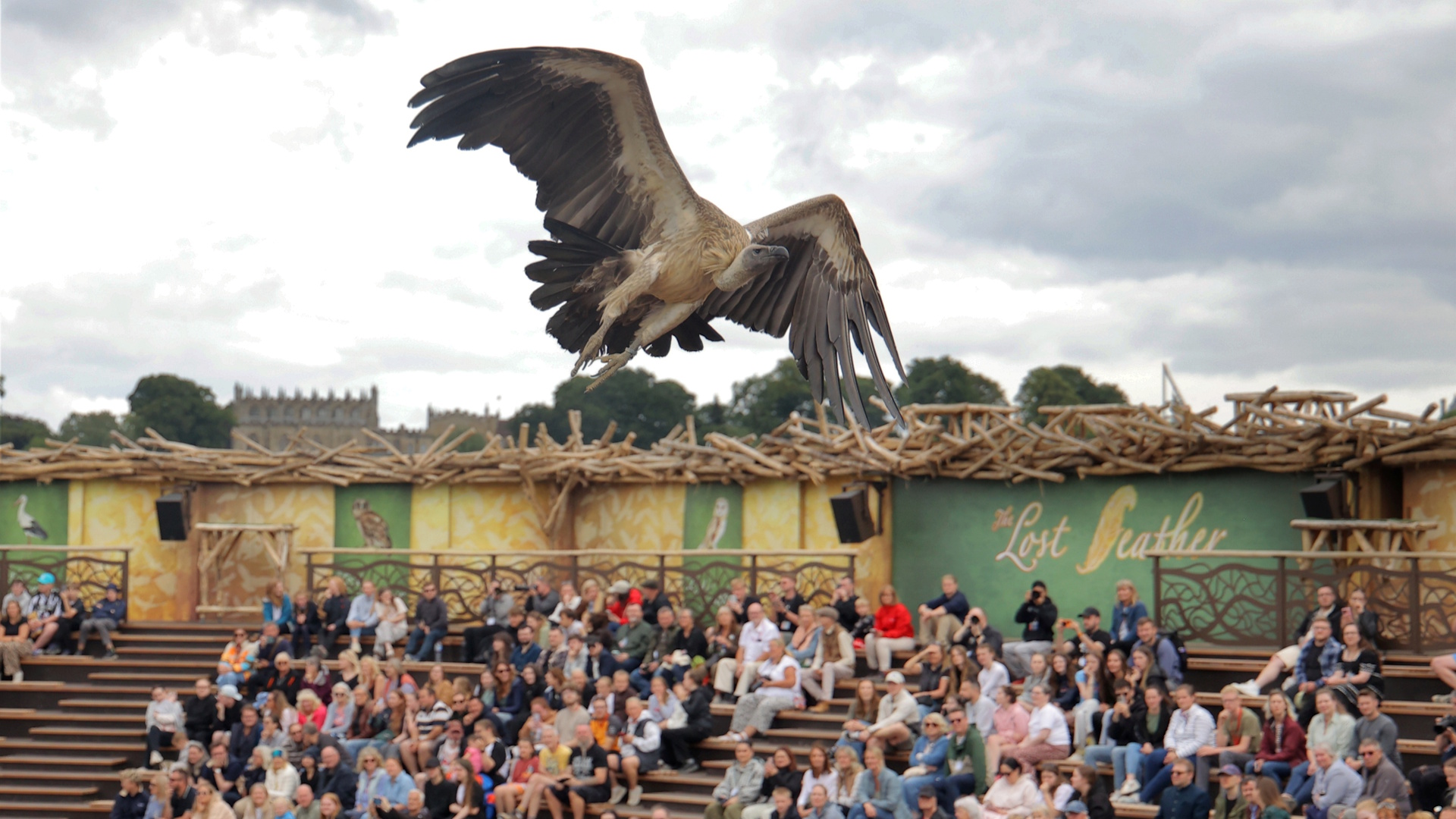 Kynren - The Storied Lands - Vulture Flys over the Audience at The Lost Feather