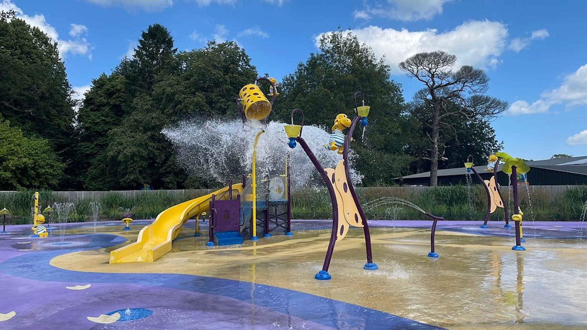 ROARR Norfolk - Dippys Splash Zone